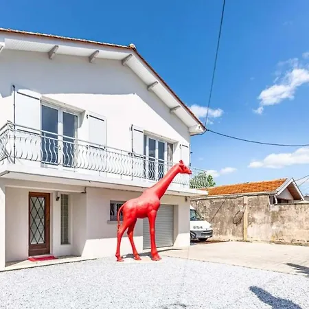 Apartment La Girafe Rouge